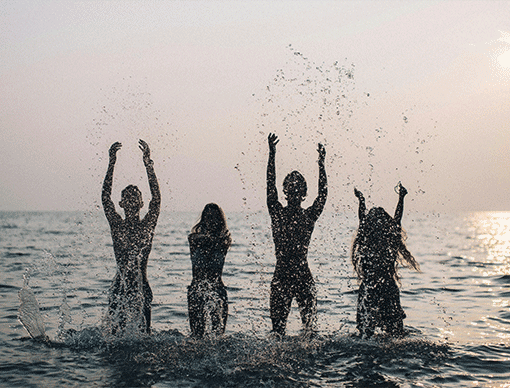 Novelty and loyalty at odds Novelty and loyalty at odds